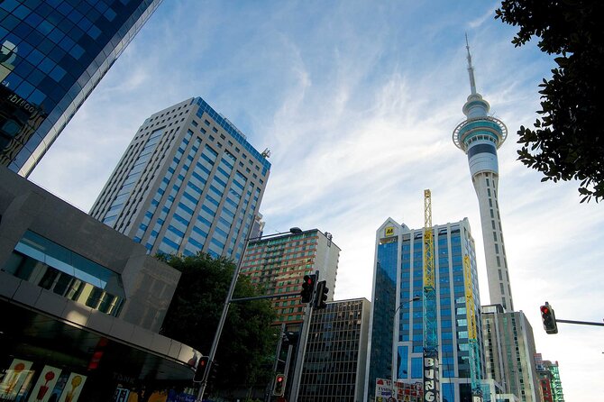 Auckland Airport Transfers: Auckland to Auckland Airport AKL in Luxury Van - Common questions