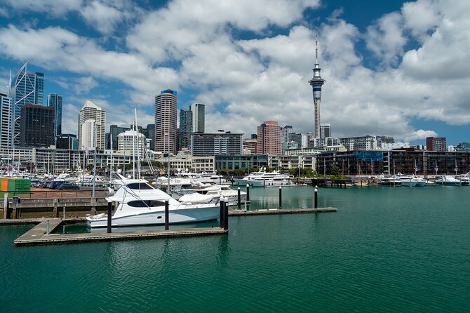Auckland City Of Sails Half Day Tour - Important Reminders
