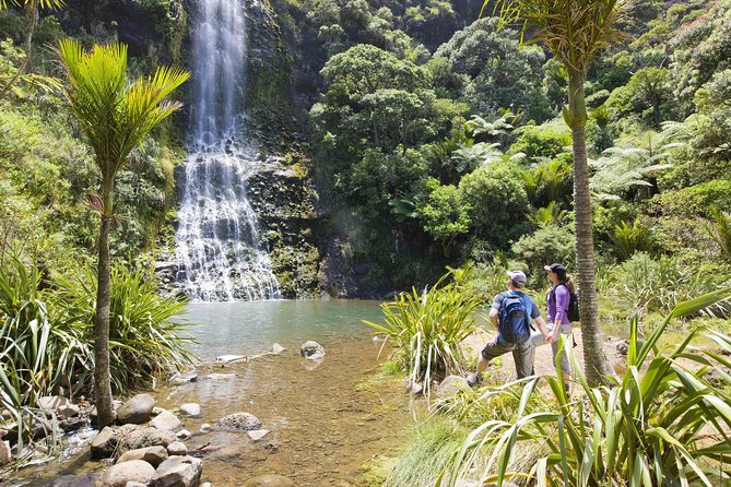 Auckland City, West Coast, & Piha Beach Private Full-Day Tour - Booking Details and Terms