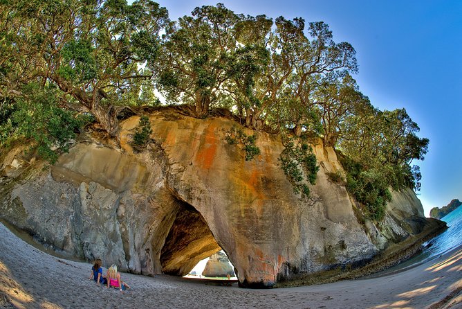 Auckland to Coromandel Private Tour - Experience Itinerary
