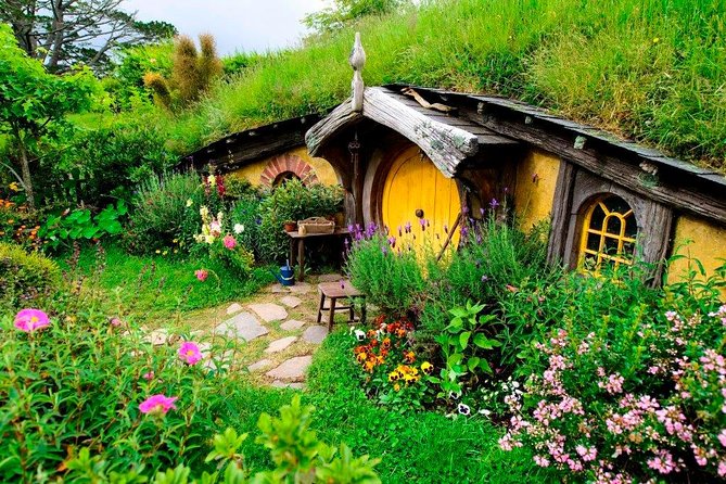 Auckland to Rotorua via Waitomo Caves and Hobbiton Movie Set One-Way Private - Tour Itinerary