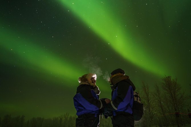 Aurora Hunting Safari to Lake Inari From Saariselkä, Dinner in Aurora Island - Recommendations