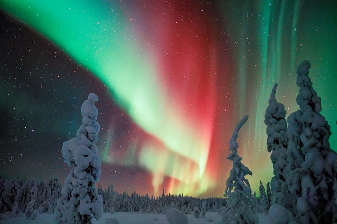 Auroras in Saariselkä – Northern Lights Photo Tour by Car and on Foot - Booking Details and Pricing