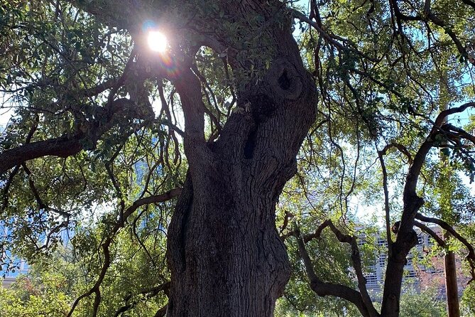 Austin Icons Bicycle Tour - Traveler Resources