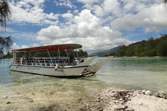 Authentic Moana Lagoon Excursion - Full Day (Motu Lunch Included) - Additional Guidelines