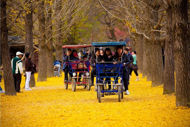 Autumn 10 Days Jeonju&Mt.Naejangsan&Mt.Seorak&Mungyeong&Jeju&Busan on Early Nov - Activities and Attractions