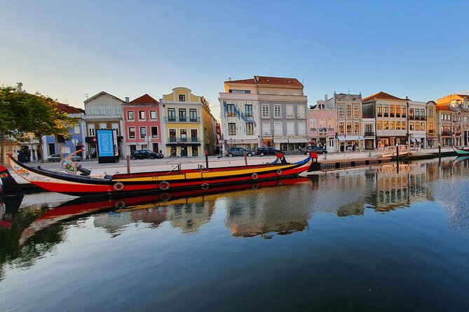 Aveiro Canal Cruise in Traditional Moliceiro Boat - Aveiro Canal Cruise Challenges