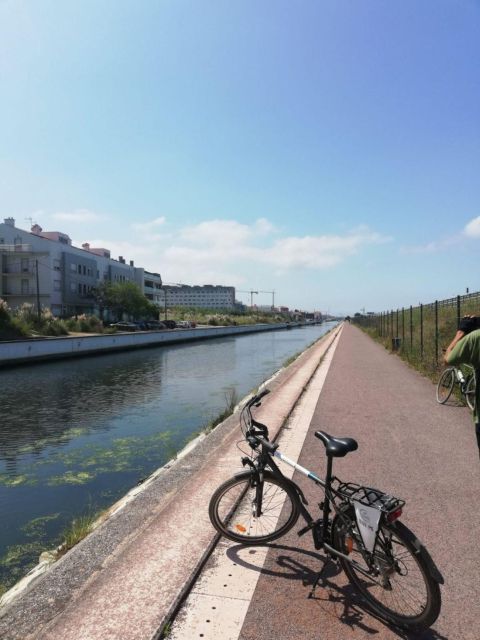 Aveiro: City of Canals Bike Tour - Booking Information and Contact Details