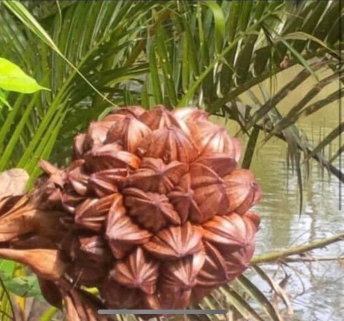 Ba Tran: Hoi An Basket Boat Ride in Water Coconut Forest - Customer Reviews