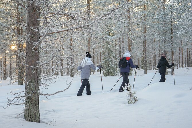 Backcountry Ski Adventure From Rovaniemi - Customer Reviews