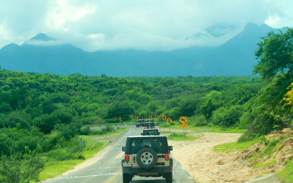 Baja Jeep Tour to Santiago From Los Cabos: Drive or Ride - Vehicle and Passenger Information