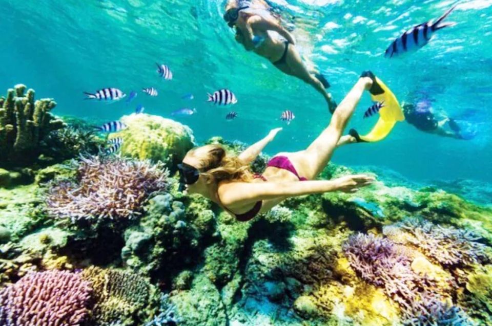 Bali: All-Inclusive Snorkeling at Blue Lagoon Beach - Additional Tips for Snorkeling at Blue Lagoon Beach