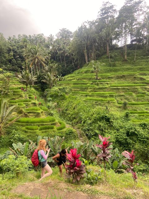 Bali Best of Ubud Surounding Tour With Barong & Keris Dance - Nature Exploration