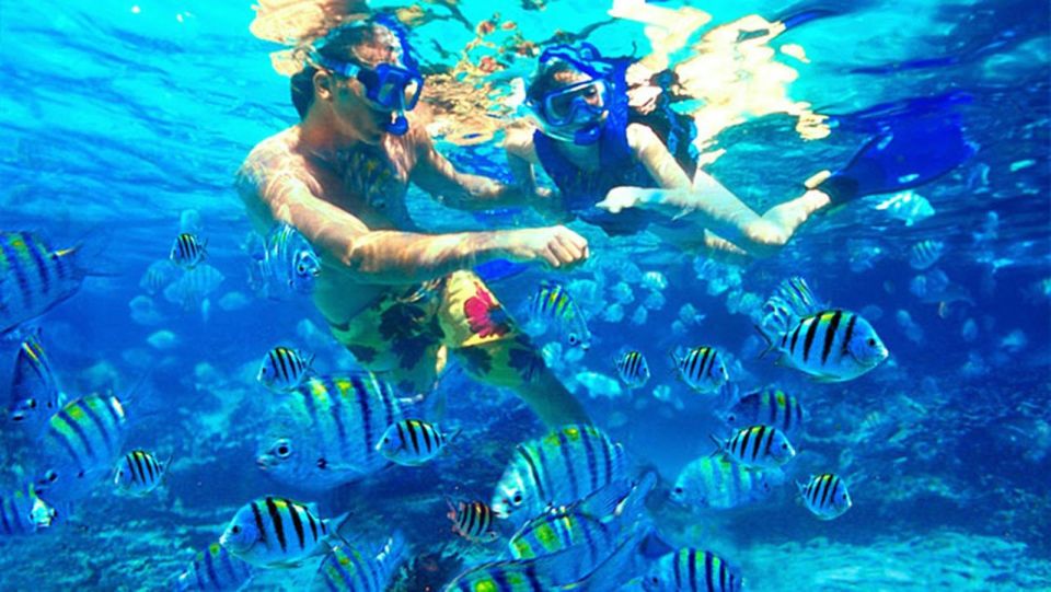 Bali Blue Lagoon Snorkeling: Inclusive of Lunch & Transport - Trip Highlights