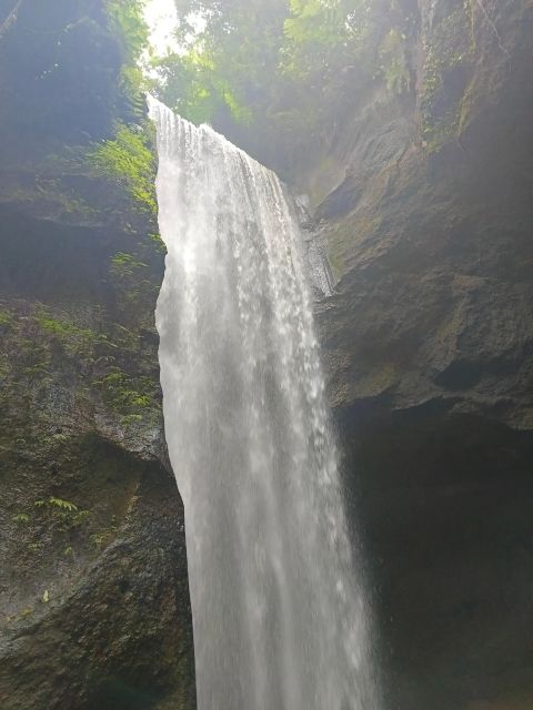 Bali : Day Trip to Besakih Temple & 2 Hidden Waterfalls - Optional Activities and Experiences