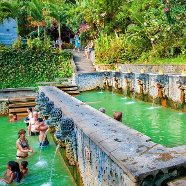 Bali : Full Day Bali Dolphin Tour - Banjar Hot Spring Water Retreat