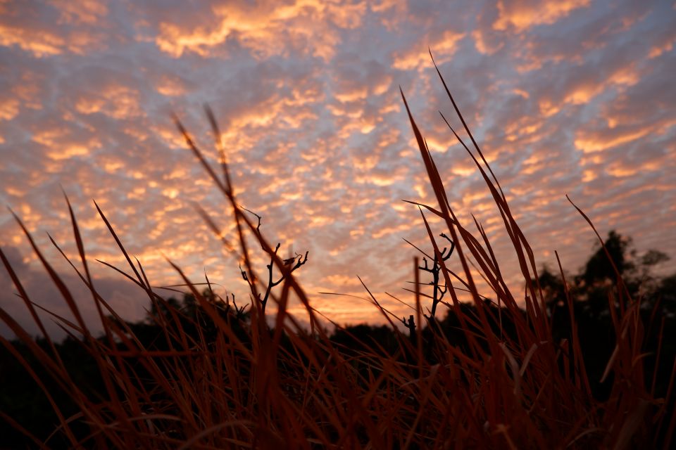 Bali: Mount Batur Entry Ticket on a Guided Hike or Jeep Ride - Highlights and Activities