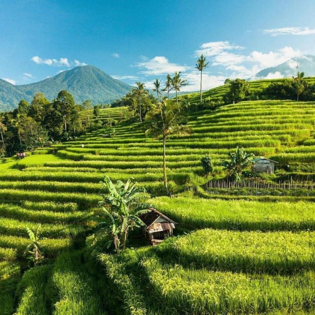 Bali: Northern Bali Private Day Trip With Hotel Transfers - Customer Reviews