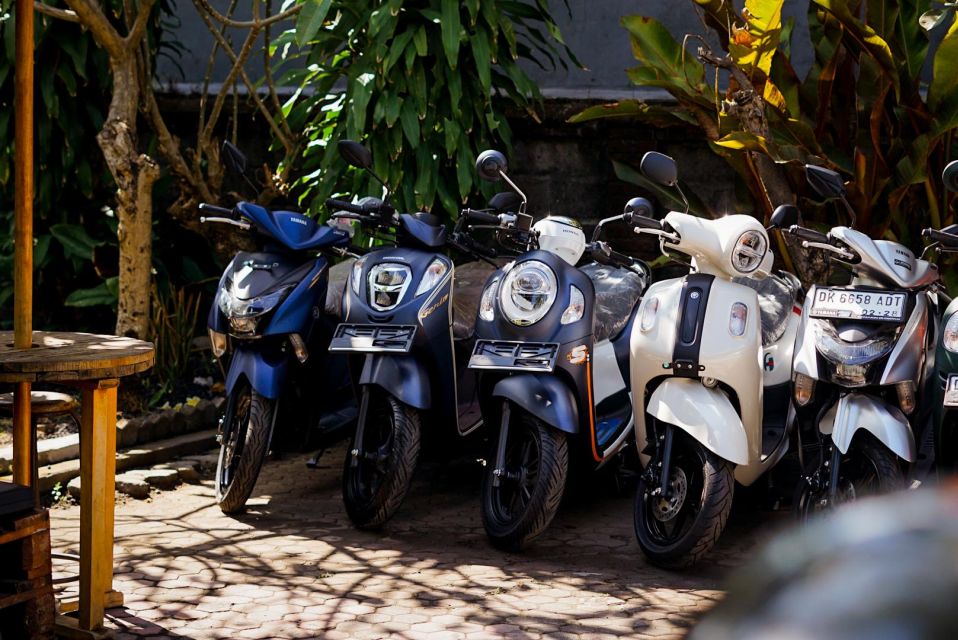 Bali: Rent a Scooter & Explore Bali in YOUR Speed! - How to Book Your Scooter