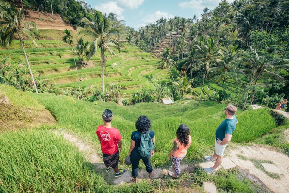 Bali: Rice Terraces Guided Hiking Experience - Customer Reviews