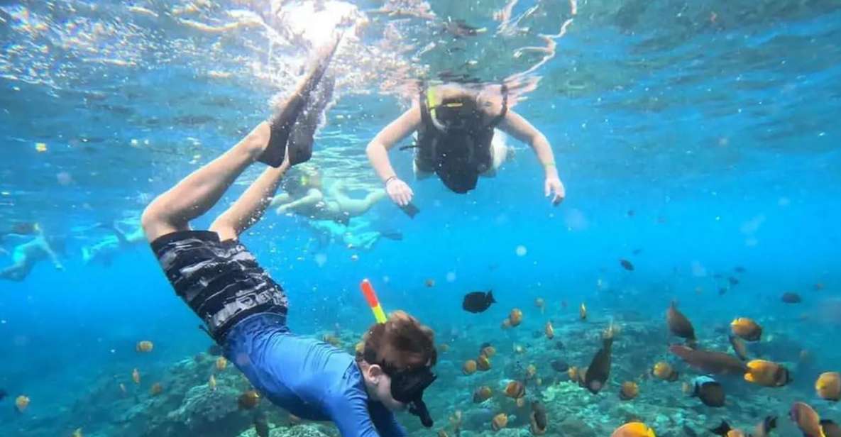 Bali: Snorkeling at Blue Lagoon Beach & Ubud Tour - Visit to Ubud Monkey Forest