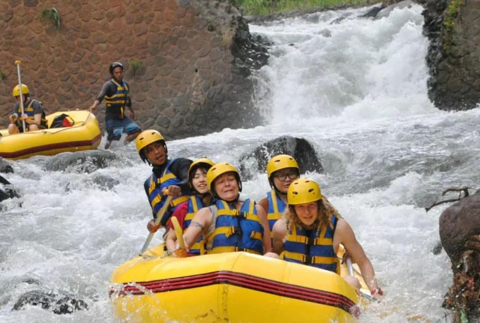 Bali: Telaga Waja River Rafting Small-Group Tour With Lunch - Customer Review