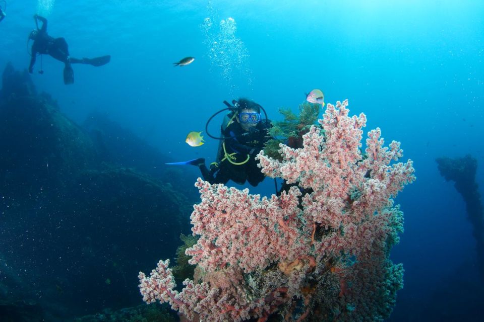 Bali: Tulamben USAT Liberty Wreck Scuba Diving - Certified Divers Information