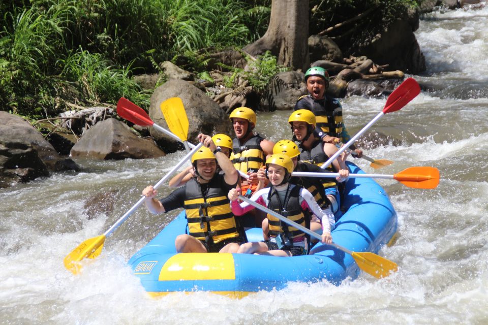 Bali: Ubud Swing & White Water Rafting With Private Transfer - Additional Information