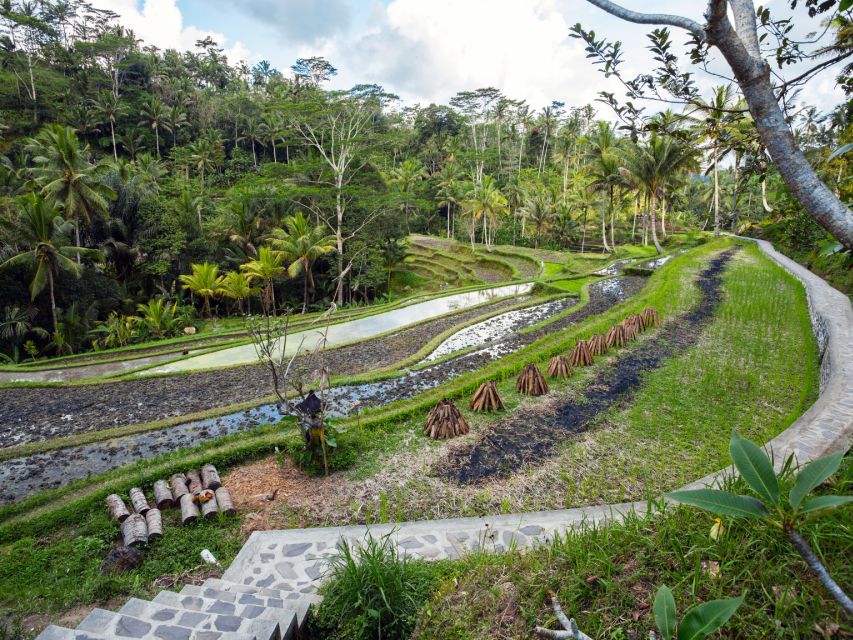 Bali: Ubud Traditional Balinese Purification - Inclusions Provided