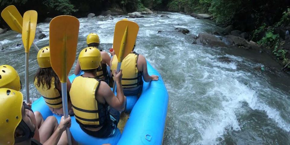 Bali: White Water Rafting Adventure in Ubud - All Inclusive - Review Summary