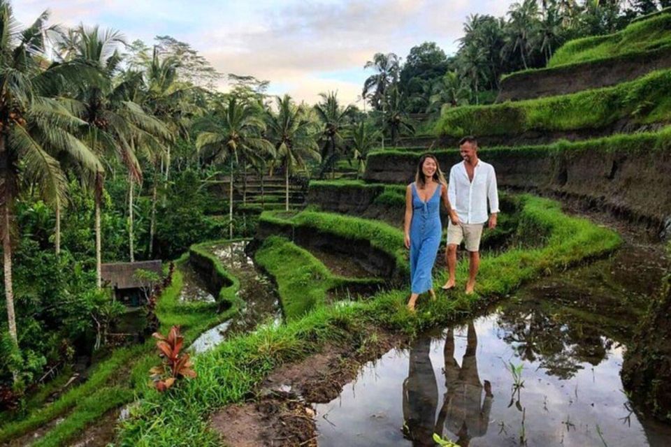 Bali:Ubud Monkey Forest,Rice Terrace,Waterfall & Temple Tour - Full Itinerary