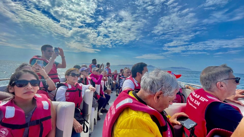 Ballestas Island and Paracas National Reserve - Marine Biodiversity Observation Experience