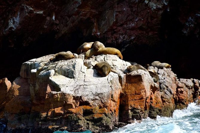 Ballestas Islands and Paracas National Reserve Day Trip From Paracas - Helpful Tips for Travelers
