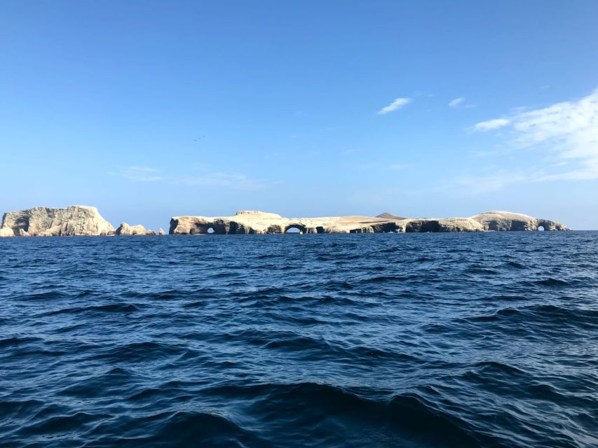 Ballestas Islands and Tambo Colorado From San Martin Port - Ballestas Island Exploration