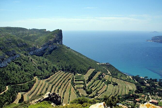 Bandol Wine Tour - 4 Hour Private Tour - Common questions