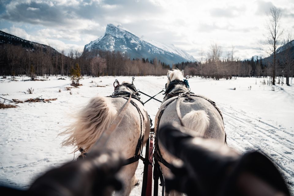 Banff: Family Friendly Horse-Drawn Sleigh Ride - Booking Information