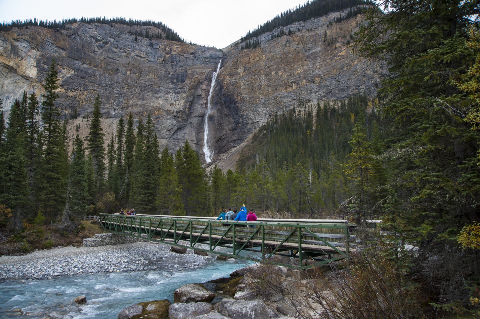 Banff: Grizzly Bear Refuge Tour With Lunch - Booking Information