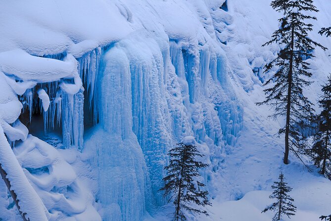Banff, Lake Louise & Johnston Canyon Winter Wonderland Tour - Weather-Dependent Experience