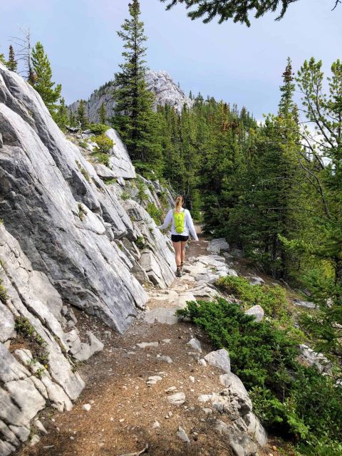 Banff: Sulphur Mountain Guided Hike - Booking Considerations