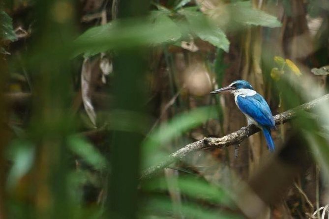 Bangkok Jungle Bike Tour: Pickup and Lunch Included - Booking and Cancellation Policy