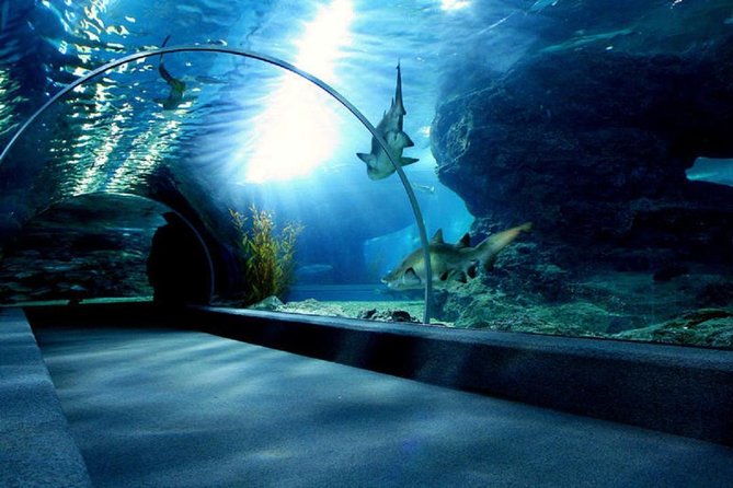 Bangkok Sea Life Aquarium and Madame Tussauds - Booking Flexibility and Cancellation Policy