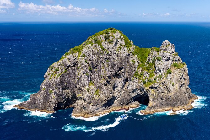 Bay of Islands Explorer Experience Small Group Tour From Auckland - Contribution to Marine Mammal Research