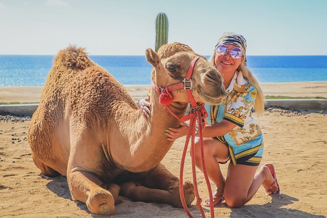 Beach Camel Ride & Encounter in Cabo by Cactus Tours Park - Booking Information
