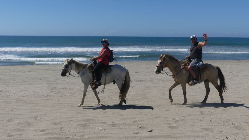 .Beach Horse Riding Turtle Release Crocodile Farm Experience - Reviews and Feedback