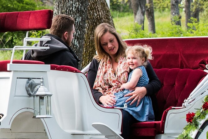 Beacon Hill Park Horse-Drawn Carriage Tour of Victoria - Weather Contingency Plan