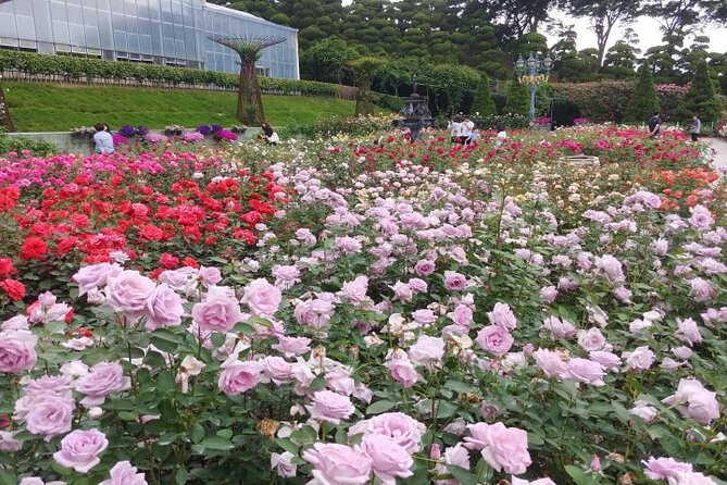 Beartree Park With Admission Ticket to Arboretum in Sejong - Common questions