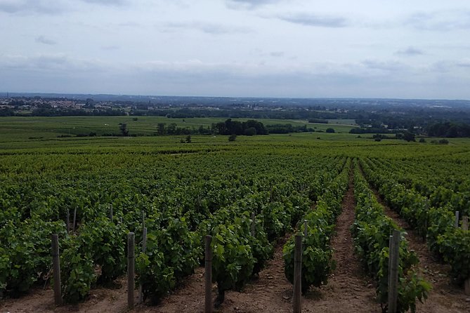Beaujolais 100 % Wine Tour Private Tour With Tasting - Tour Guide and Transportation