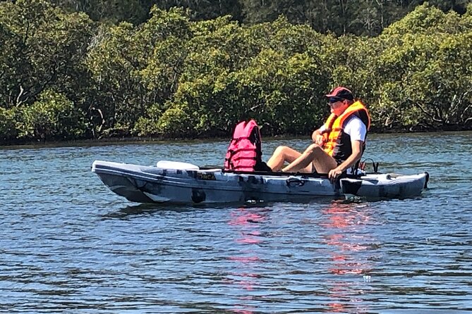 Beautiful Island Circumnavigating in a Leisurely Electric Kayak - Wildlife Spotting