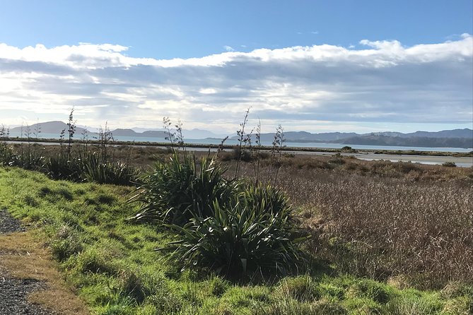 Beautiful Pohutukawa Coast - Half Day Private Tour - Pricing and Booking