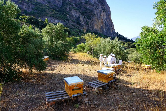 Bee Excursions in the Sierra De Cadiz - Common questions